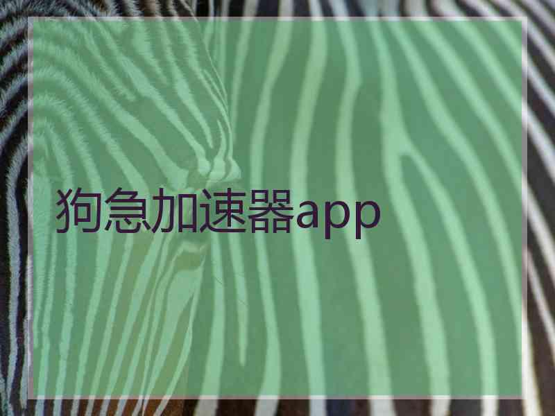 狗急加速器app