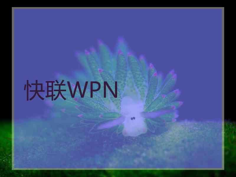 快联WPN