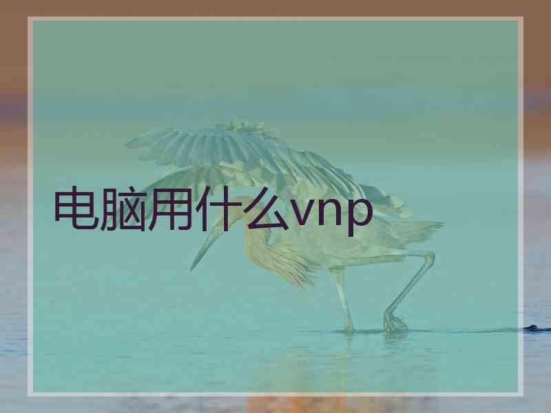 电脑用什么vnp