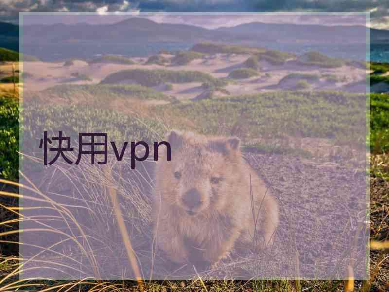 快用vpn