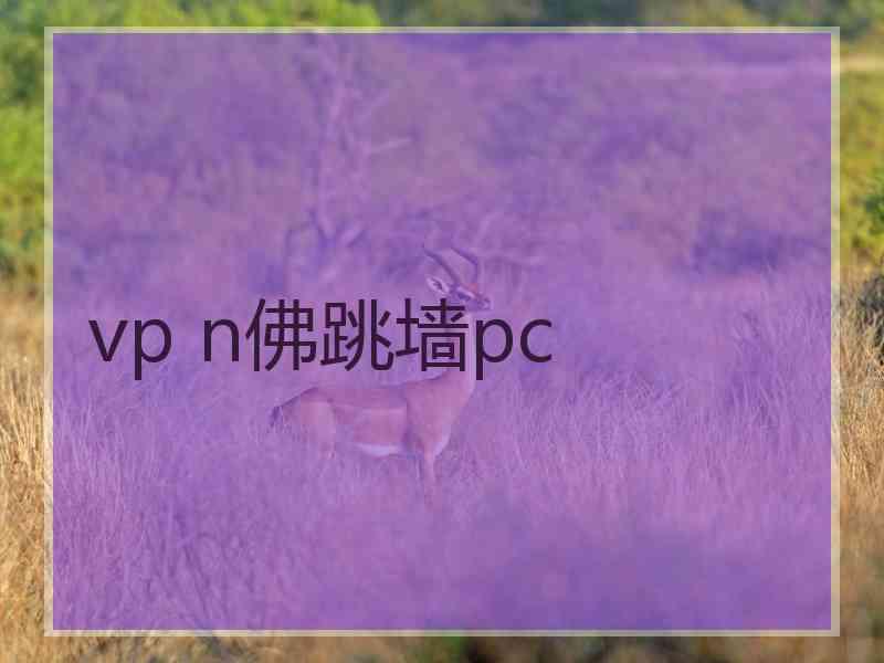 vp n佛跳墙pc