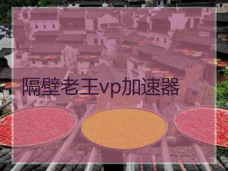 隔壁老王vp加速器