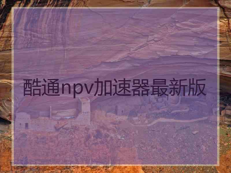 酷通npv加速器最新版