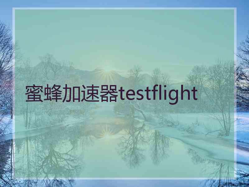 蜜蜂加速器testflight