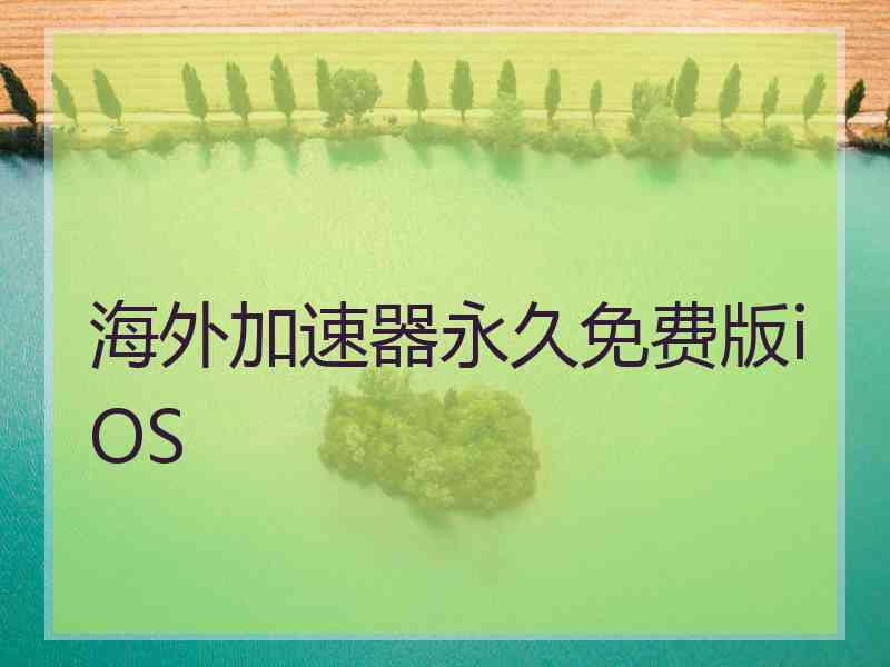 海外加速器永久免费版iOS