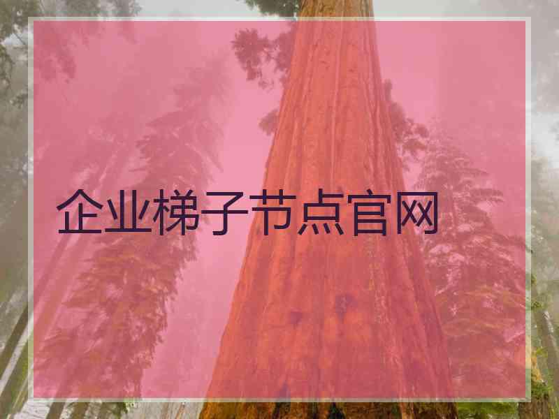 企业梯子节点官网