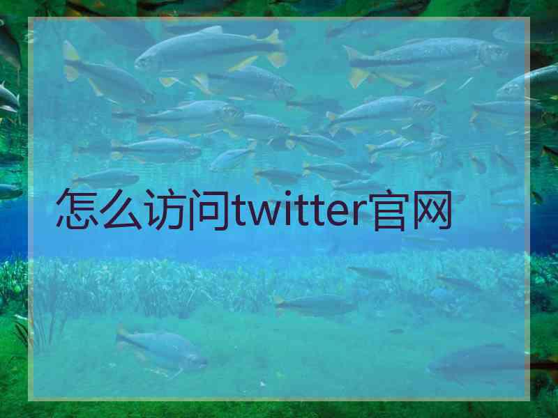 怎么访问twitter官网