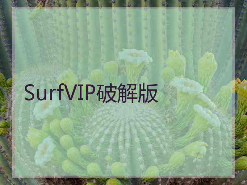 SurfVIP破解版