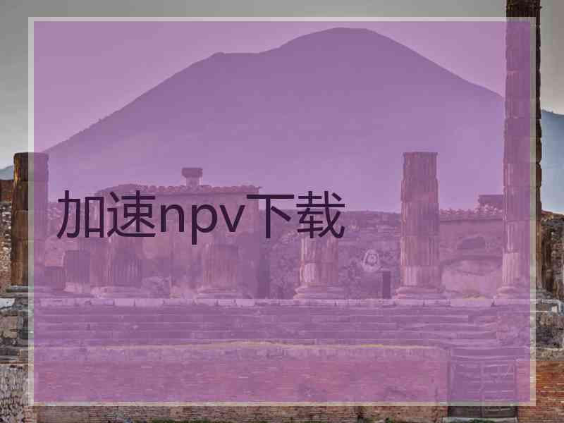 加速npv下载