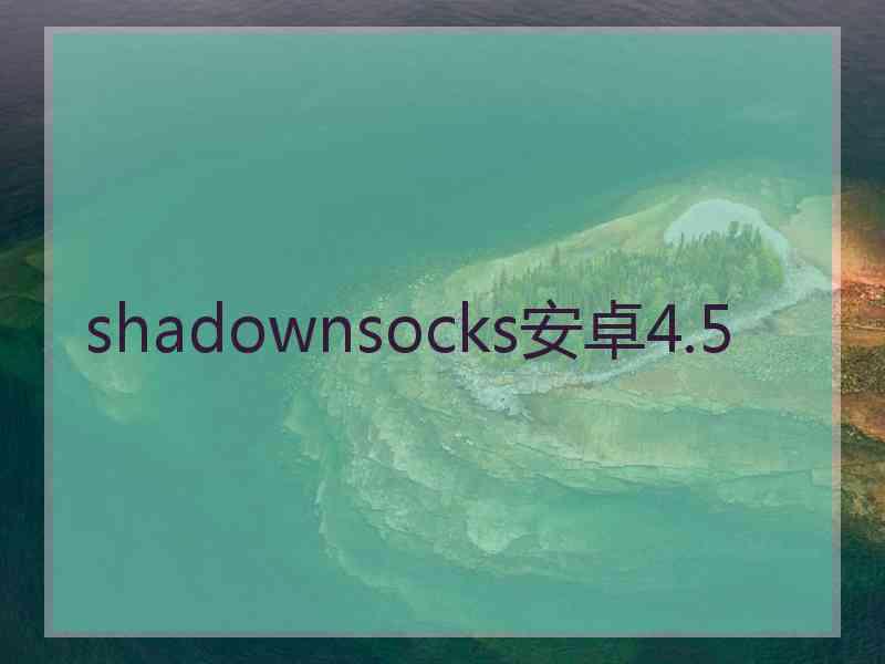 shadownsocks安卓4.5