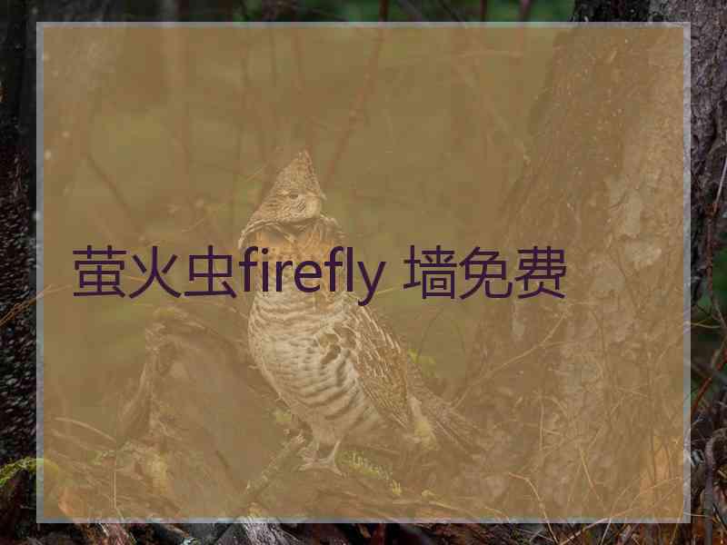 萤火虫firefly 墙免费