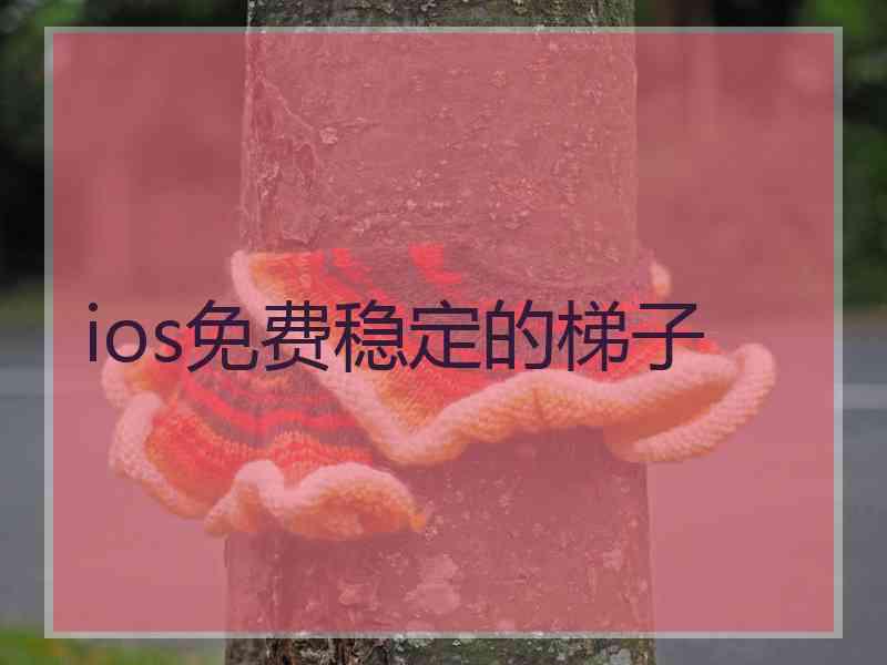 ios免费稳定的梯子