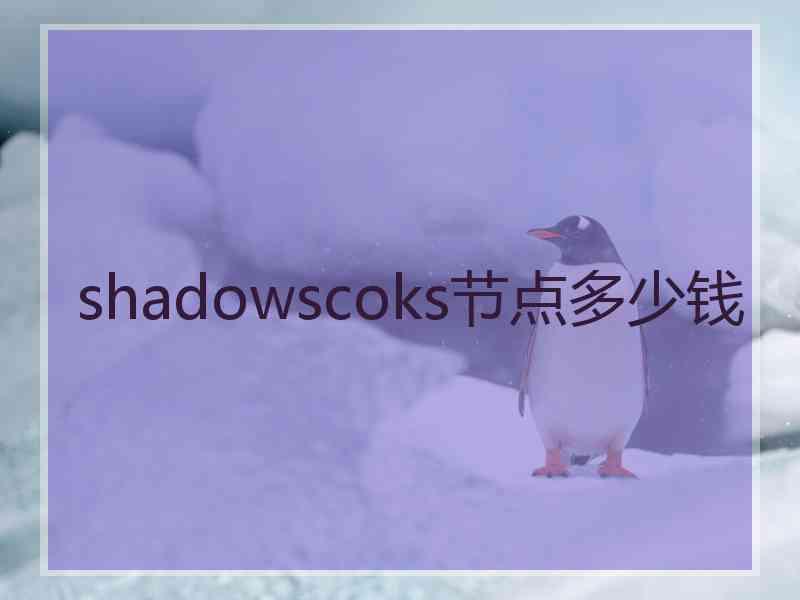 shadowscoks节点多少钱