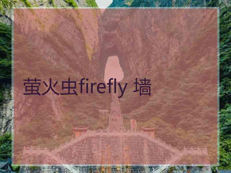 萤火虫firefly 墙