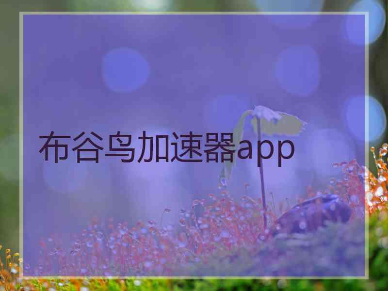 布谷鸟加速器app