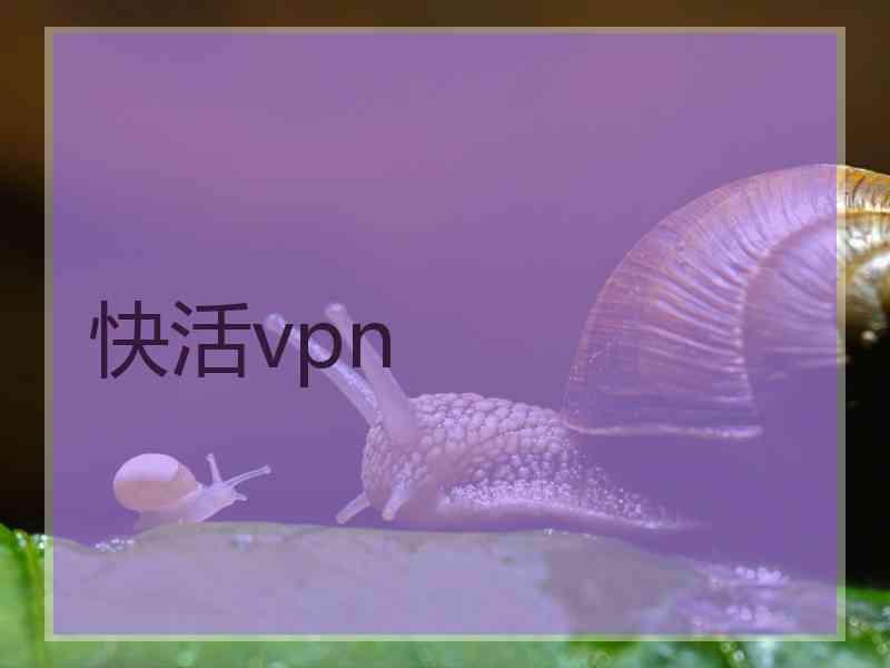 快活vpn