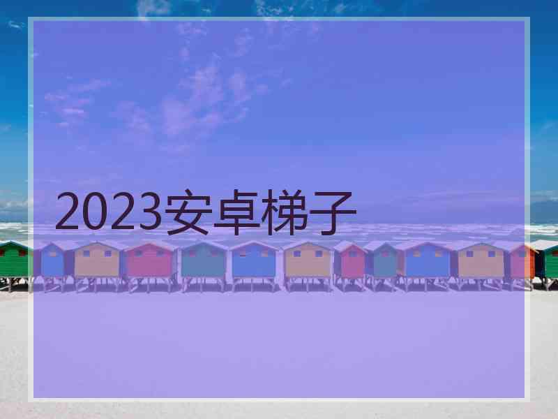 2023安卓梯子