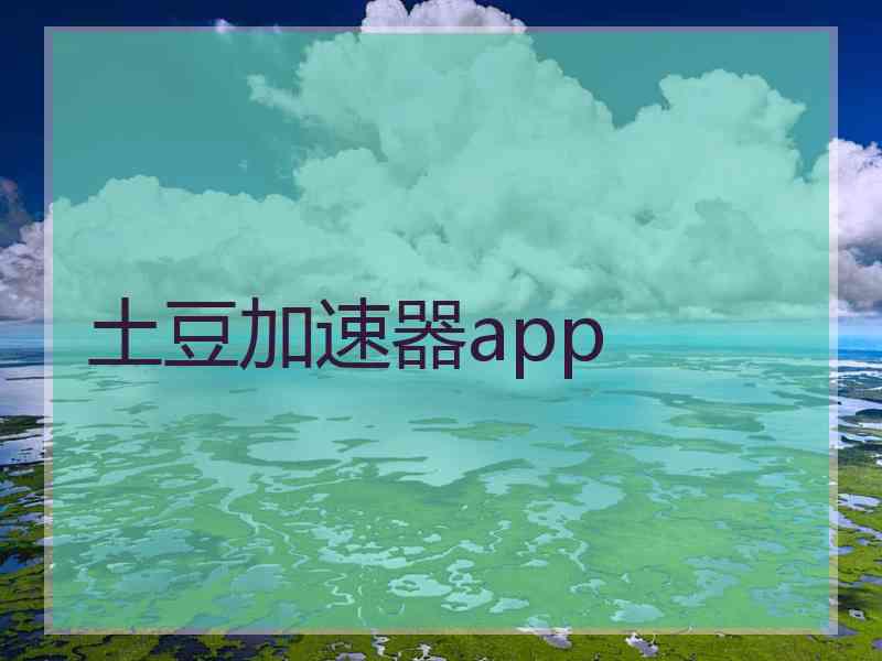 土豆加速器app