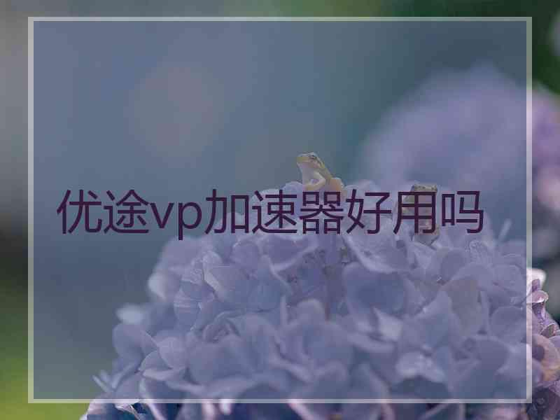 优途vp加速器好用吗