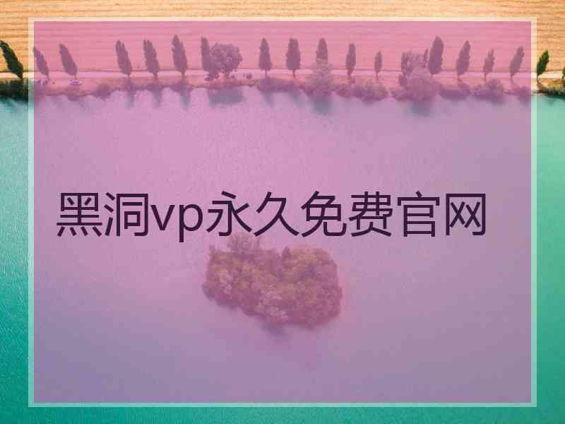 黑洞vp永久免费官网