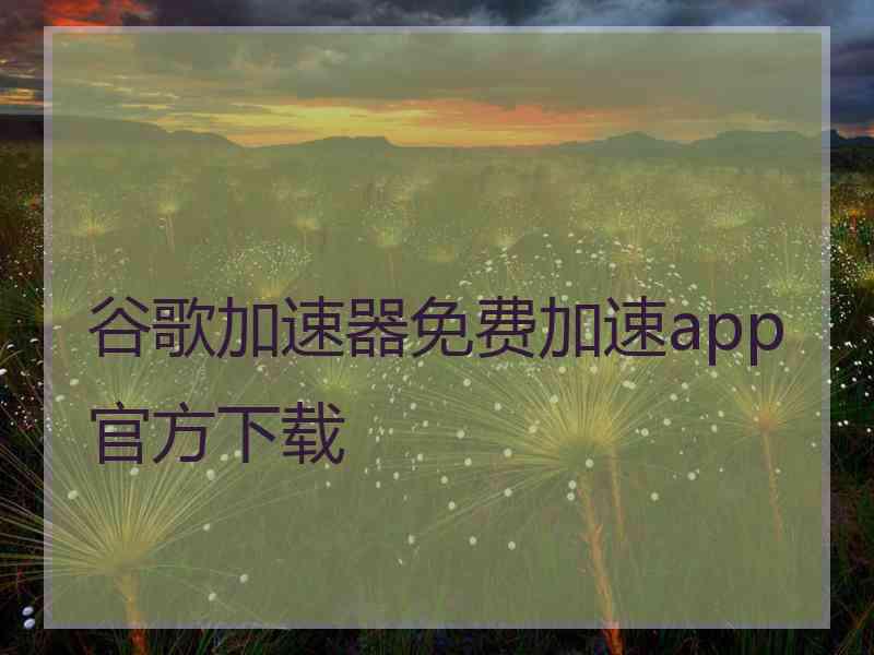 谷歌加速器免费加速app官方下载