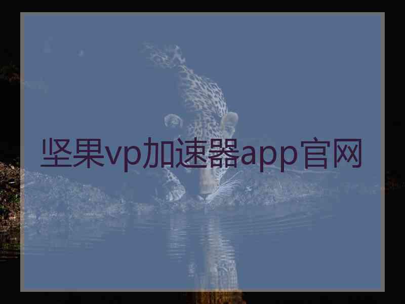 坚果vp加速器app官网