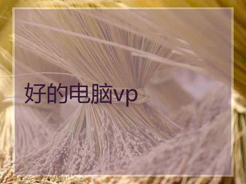 好的电脑vp