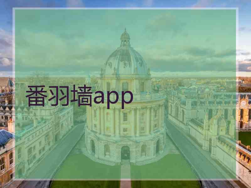 番羽墙app