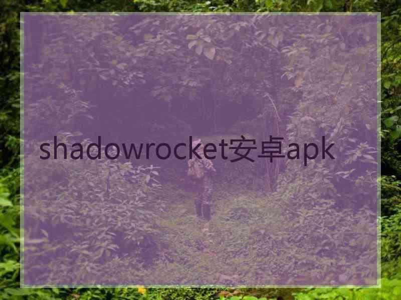 shadowrocket安卓apk