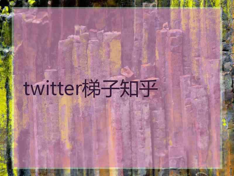 twitter梯子知乎