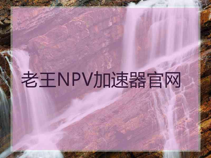 老王NPV加速器官网