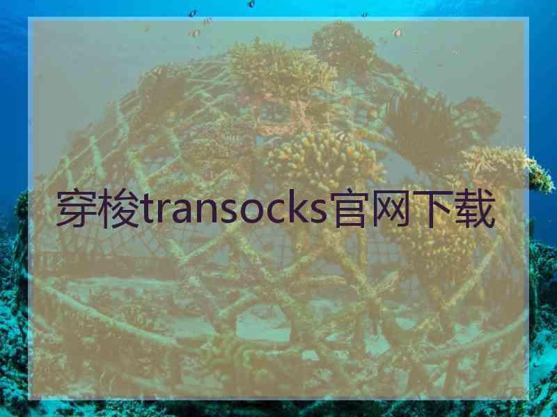 穿梭transocks官网下载