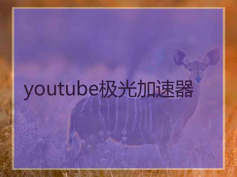 youtube极光加速器