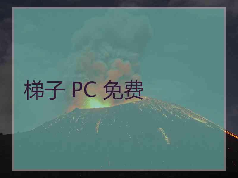 梯子 PC 免费