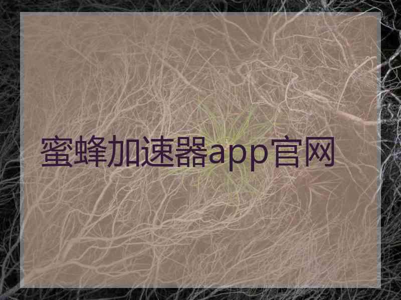 蜜蜂加速器app官网