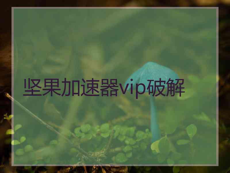 坚果加速器vip破解