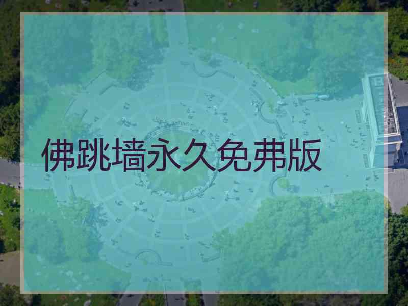 佛跳墙永久免弗版