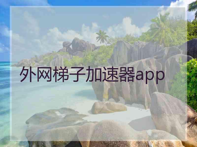 外网梯子加速器app