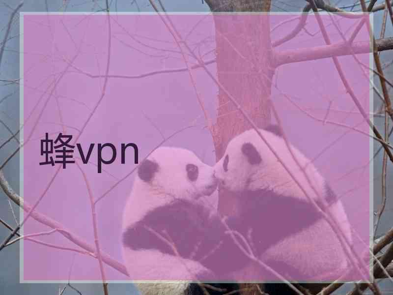 蜂vpn