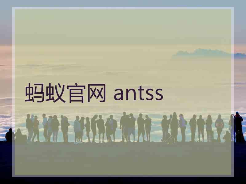 蚂蚁官网 antss