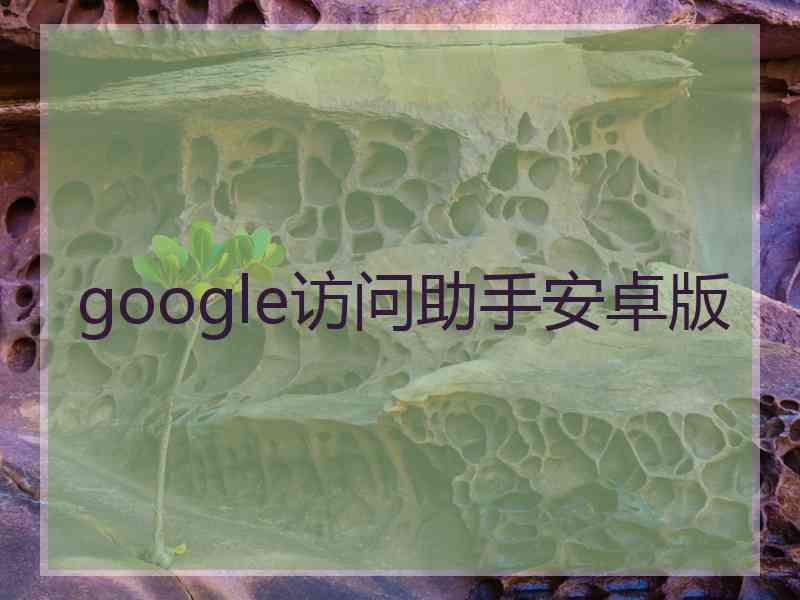 google访问助手安卓版