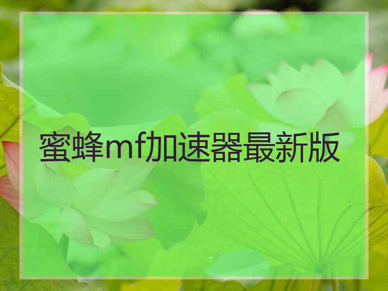 蜜蜂mf加速器最新版