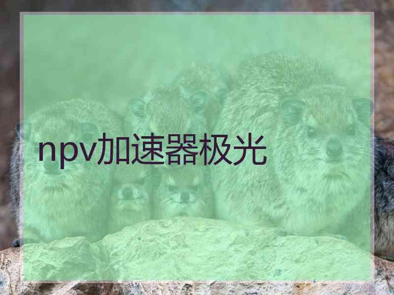 npv加速器极光