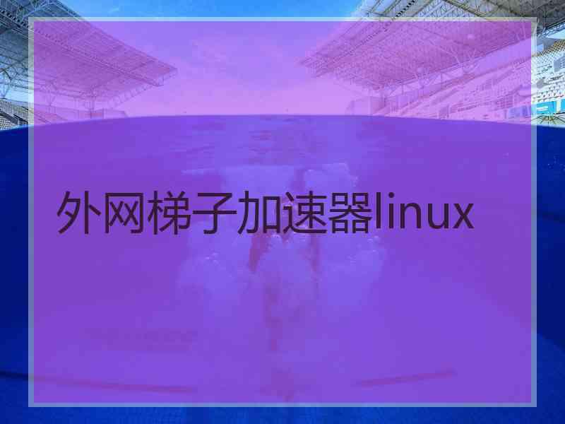 外网梯子加速器linux