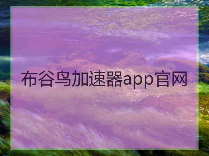 布谷鸟加速器app官网