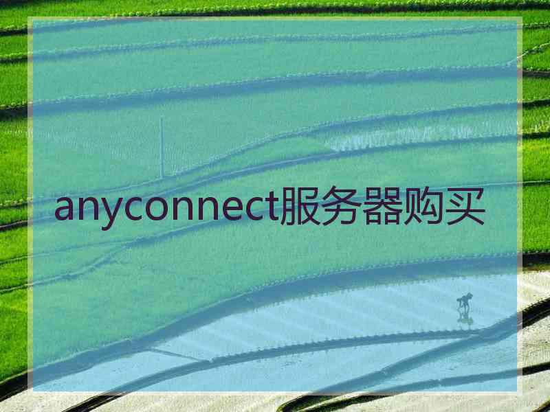 anyconnect服务器购买