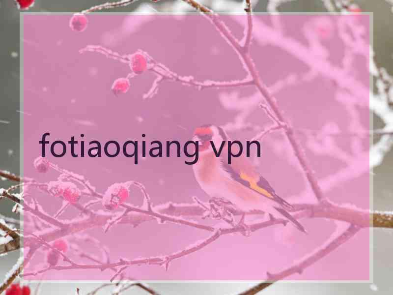 fotiaoqiang vpn