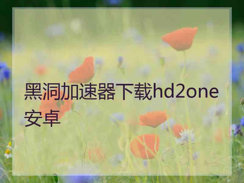 黑洞加速器下载hd2one安卓