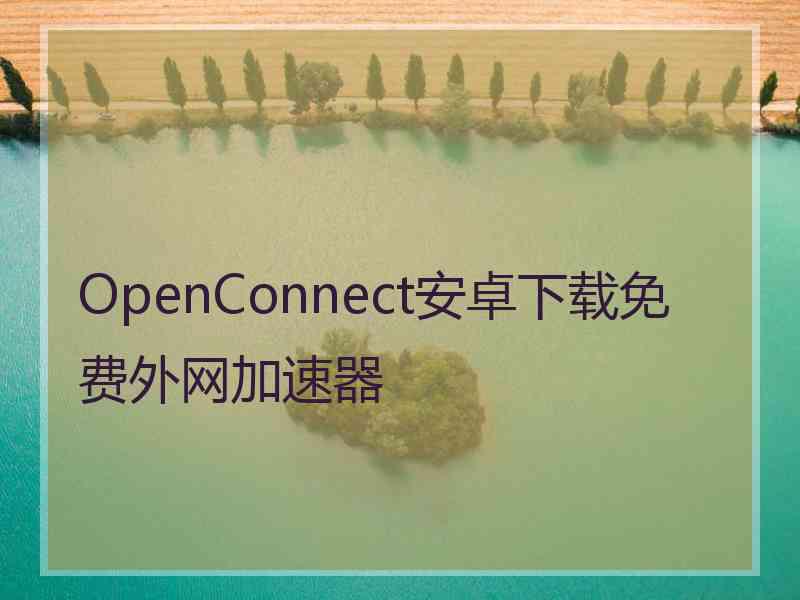 OpenConnect安卓下载免费外网加速器