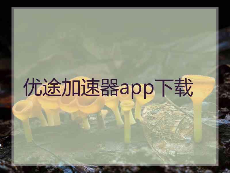 优途加速器app下载